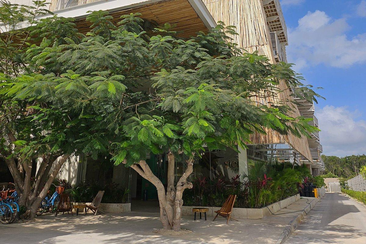 Siente Tulum Otel Dış mekan fotoğraf
